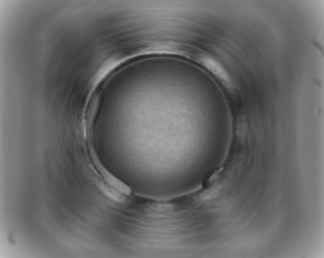 X0000095881372200801111124
