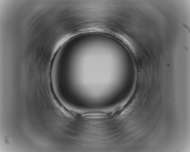 X0000095881373200801111124