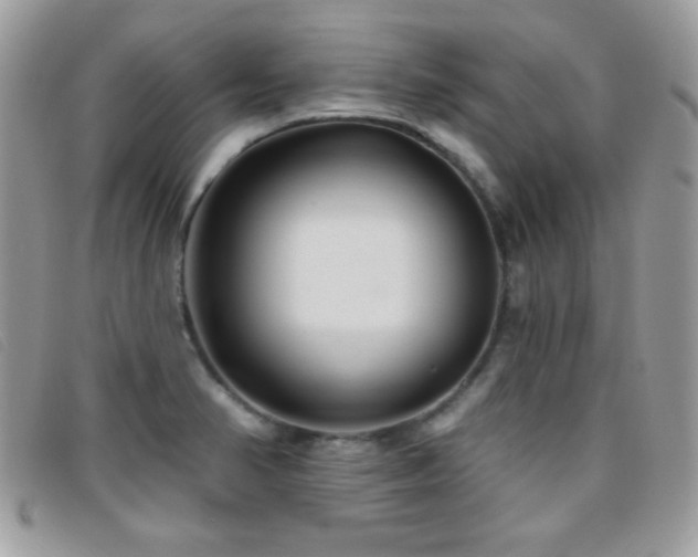 X0000095881374200801111124