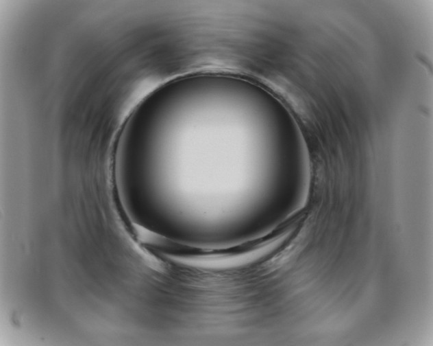 X0000095881375200801111124