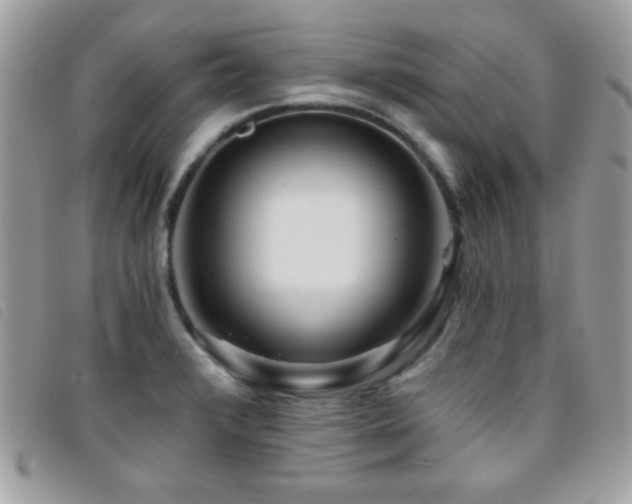 X0000095881376200801111124