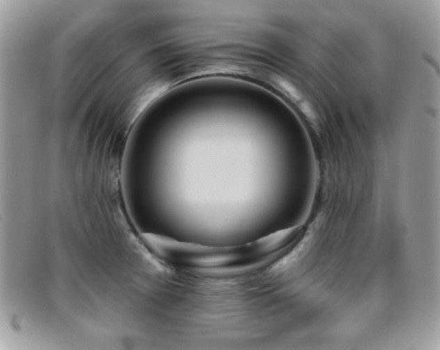 X0000095881377200801111124