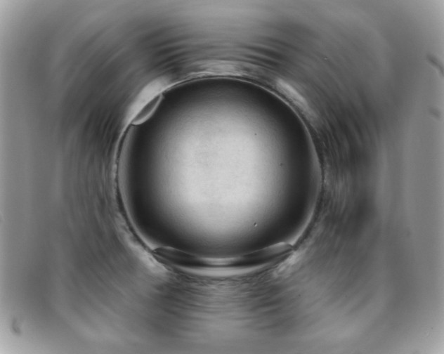 X0000095881378200801111124