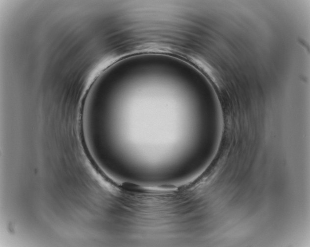 X0000095881379200801111124