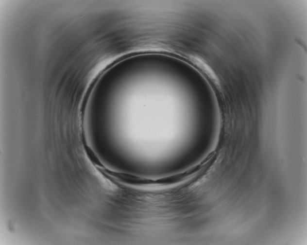 X0000095881380200801111124