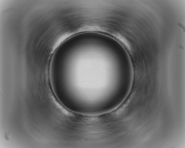 X0000095881382200801111124
