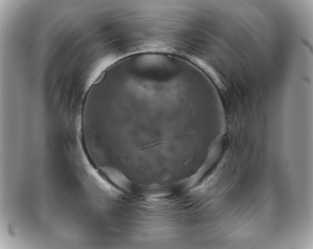 X0000095881383200801111124