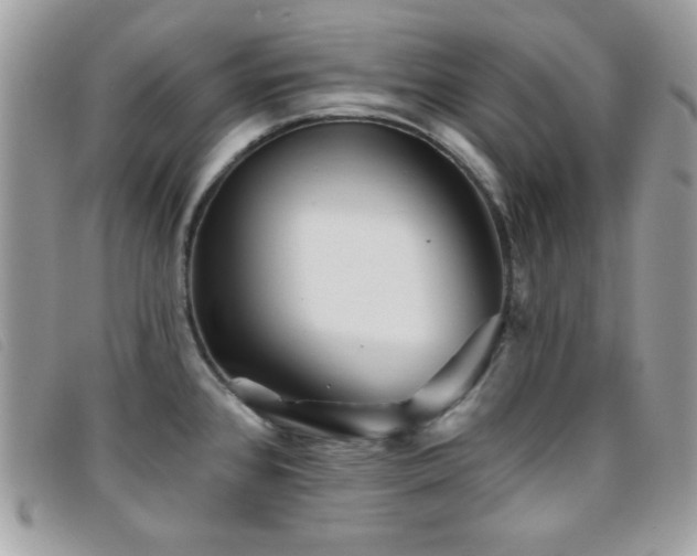 X0000095881384200801111124