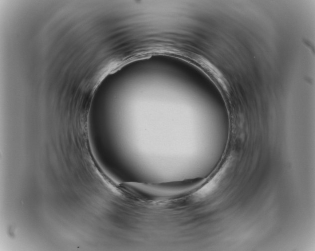 X0000095881385200801111124