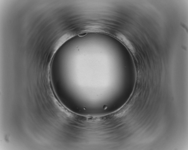 X0000095881386200801111124