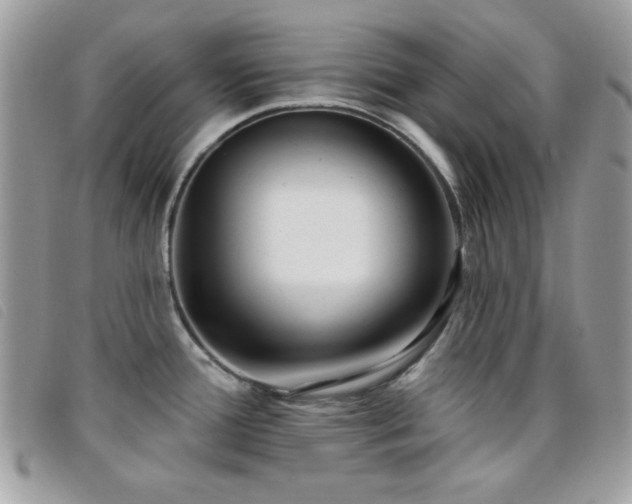 X0000095881388200801111124