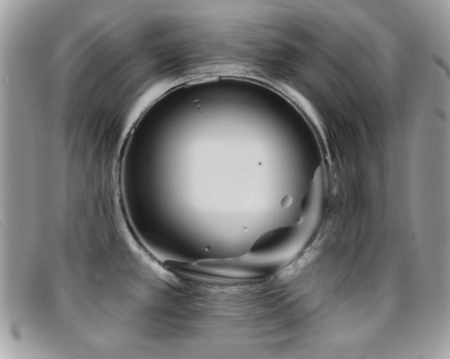 X0000095881389200801111124