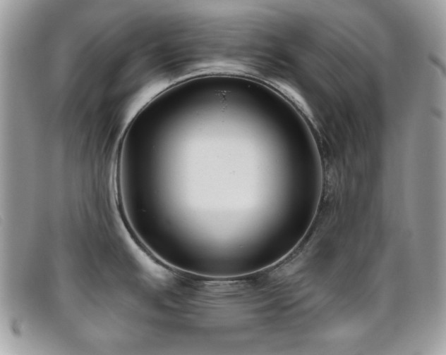 X0000095881391200801111123