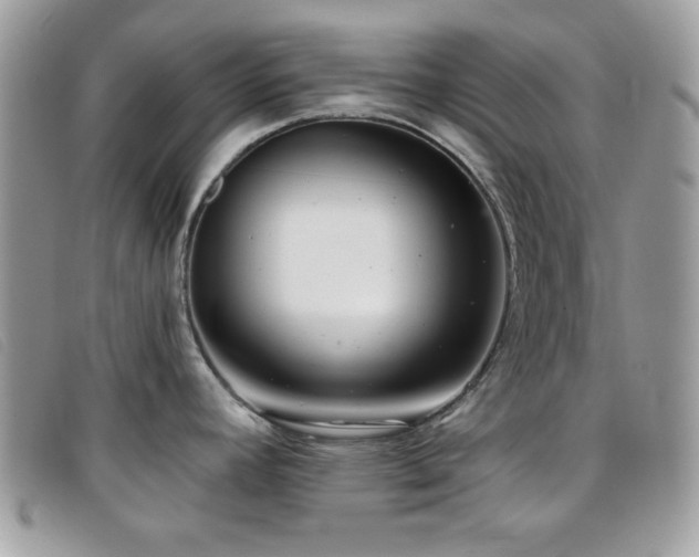 X0000095881392200801111123