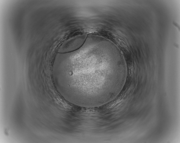 X0000095881393200801111123