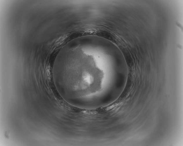 X0000095881394200801111123