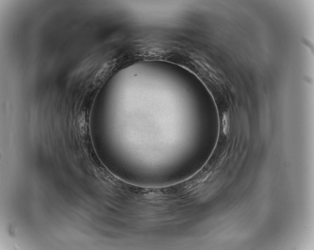 X0000095881395200801111123