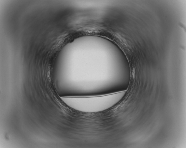 X0000095881396200801111123