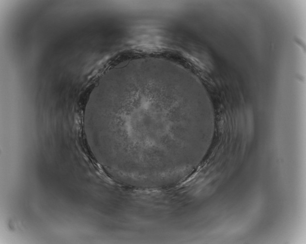 X0000095881397200801111123
