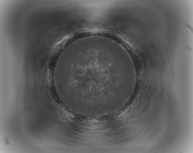 X0000095881398200801111123