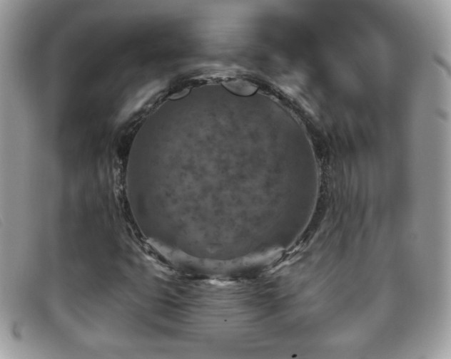X0000095881399200801111123