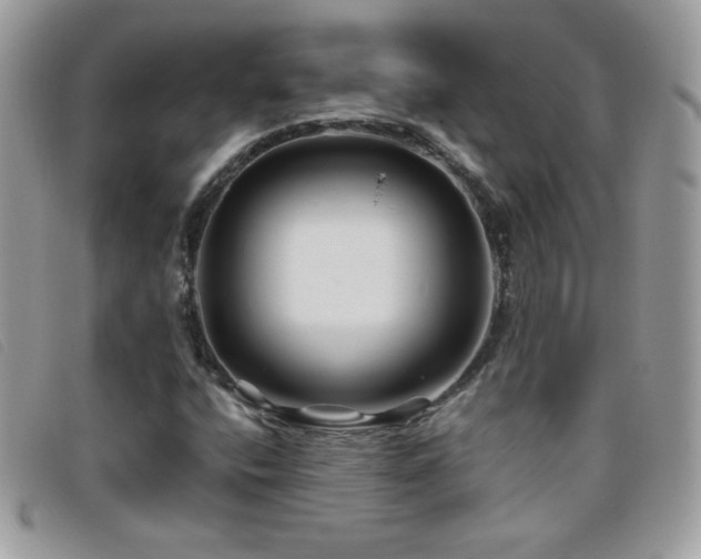 X0000095881400200801111123