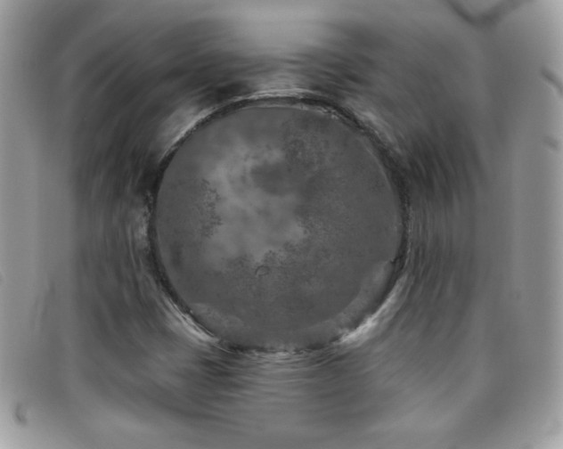 X0000095881401200801111123