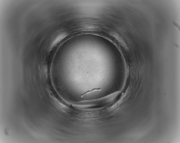 X0000095881402200801111123