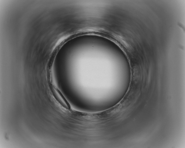 X0000095881404200801111123