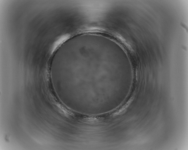 X0000095881405200801111123