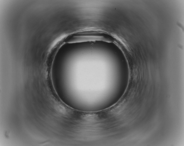 X0000095881406200801111123