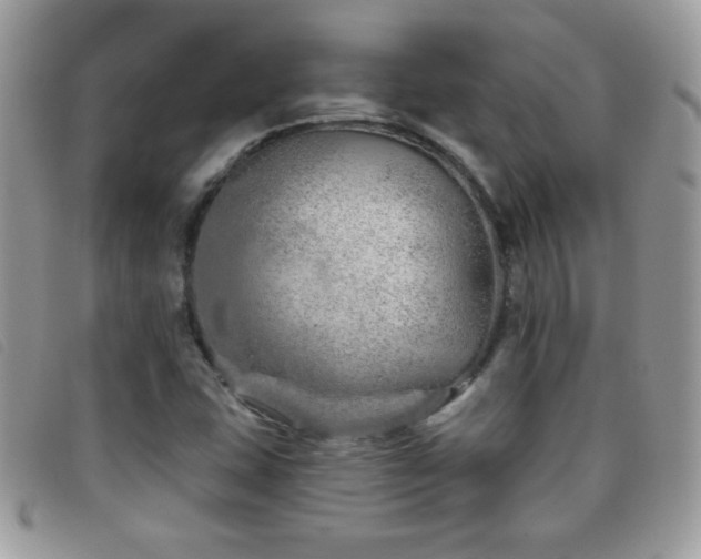 X0000095881407200801111123