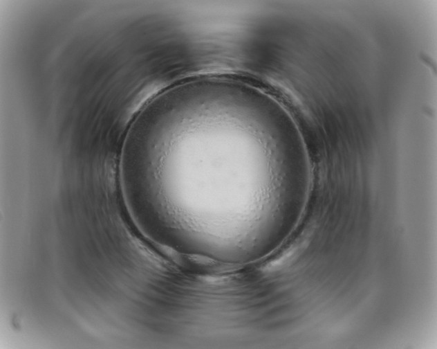 X0000095881409200801111123