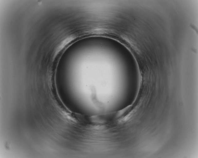 X0000095881410200801111123
