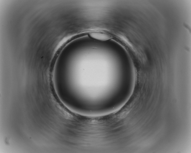 X0000095881412200801111123