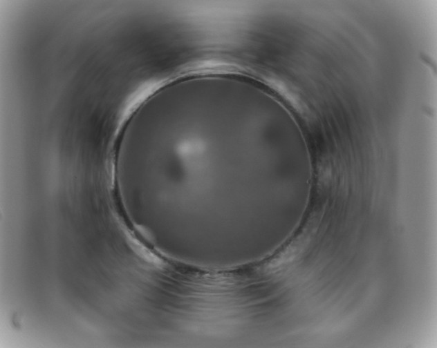 X0000095881413200801111123