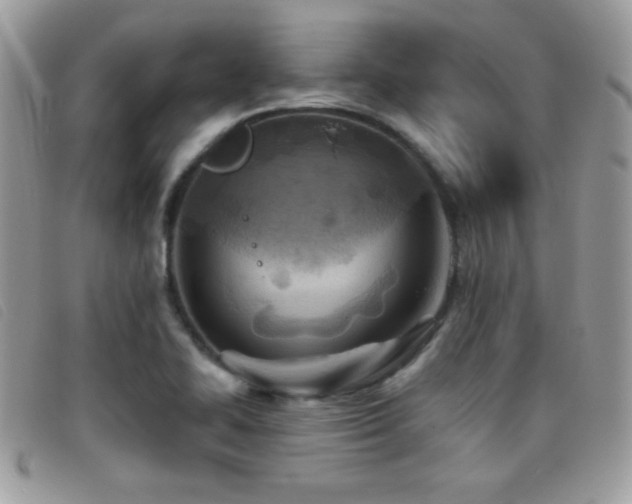 X0000095881414200801111123