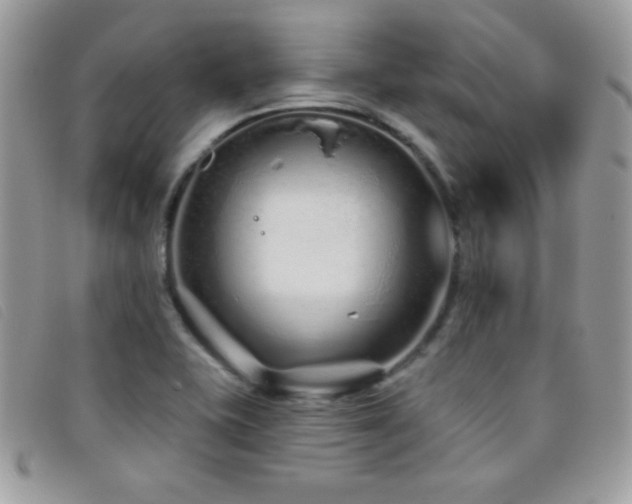 X0000095881415200801111123