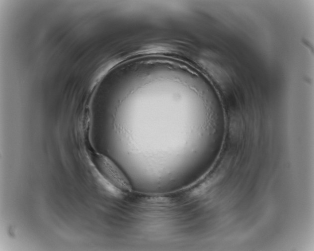 X0000095881417200801111123