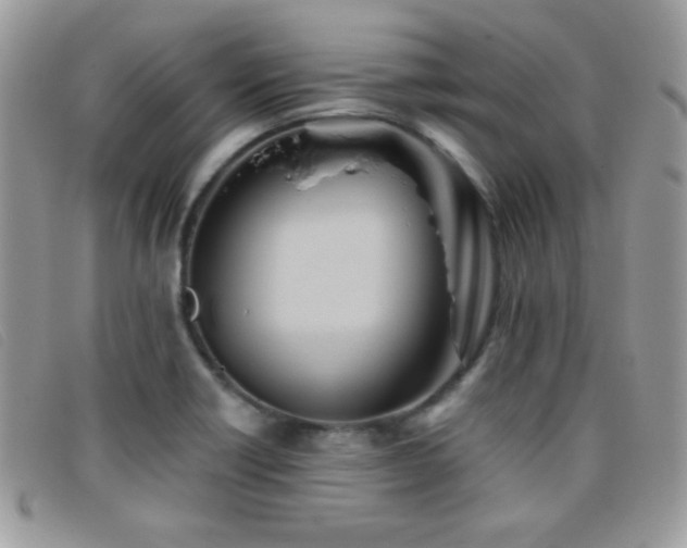 X0000095881418200801111123
