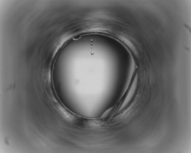 X0000095881420200801111123