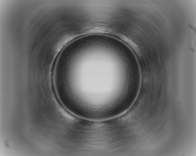 X0000095881423200801111123