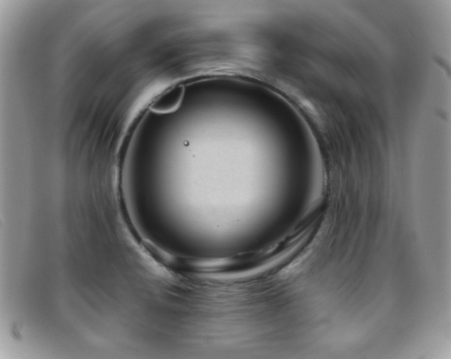 X0000095881424200801111123