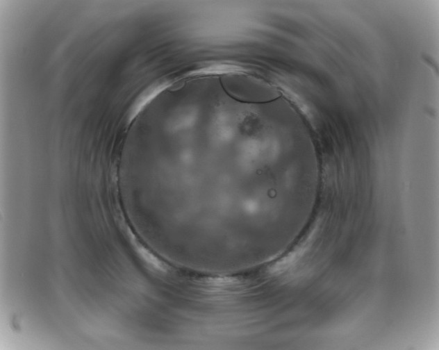 X0000095881425200801111123