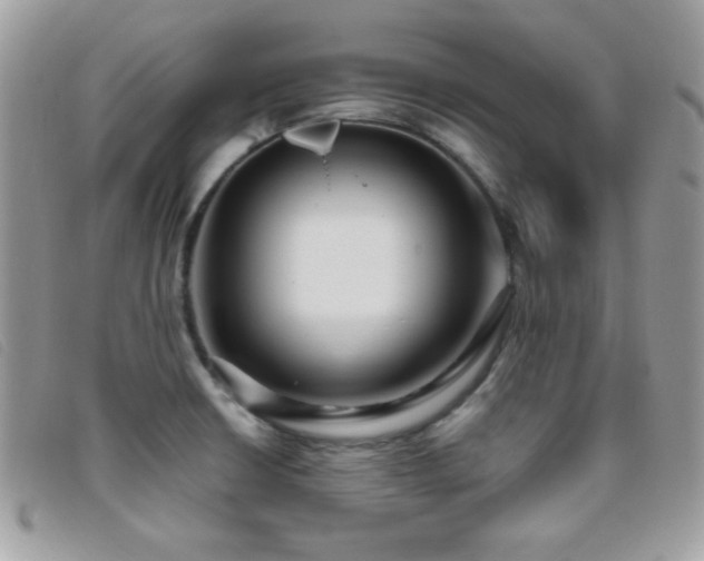 X0000095881426200801111123