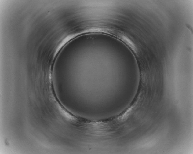 X0000095881428200801111123