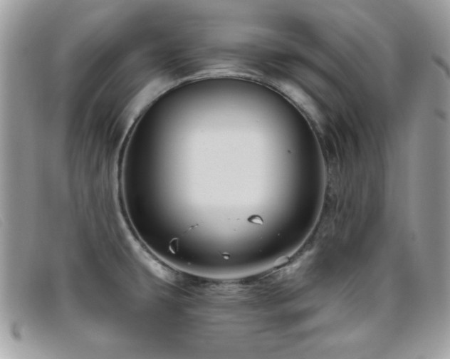 X0000095881431200801111123