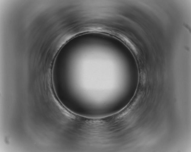 X0000095881432200801111123