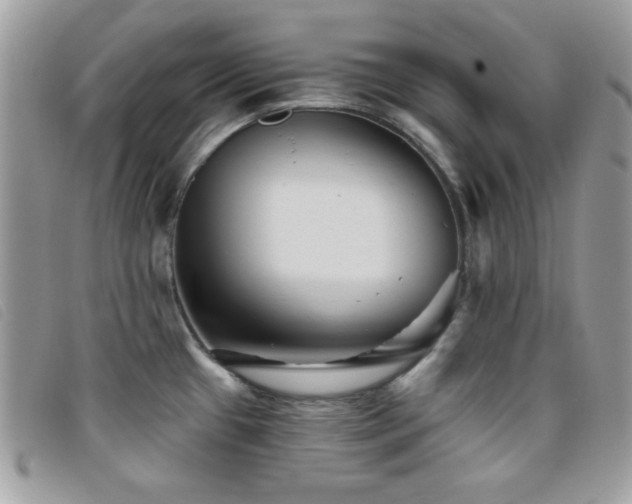 X0000095881433200801111123