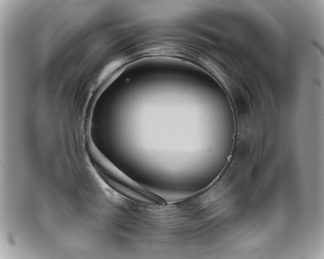 X0000095881434200801111123